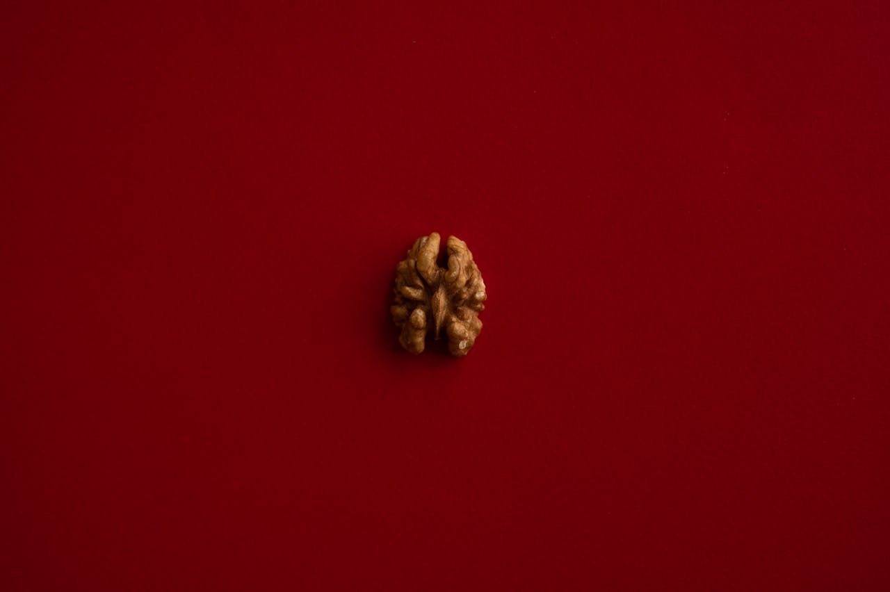 Overhead of half of walnut kernel placed in center of dark red background